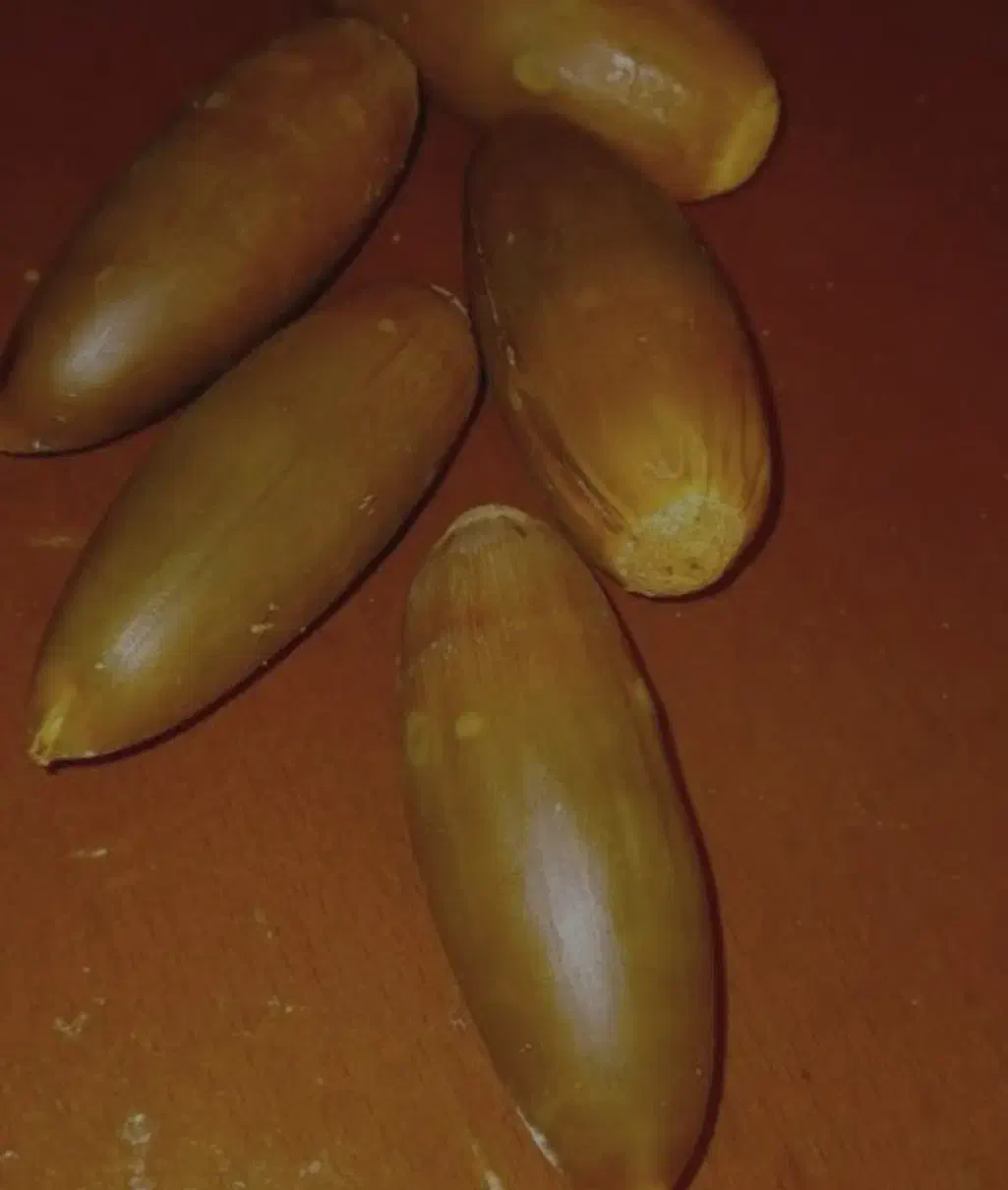 بلوط تازه|عمدهفروشی|کوهدشت, |دیوار