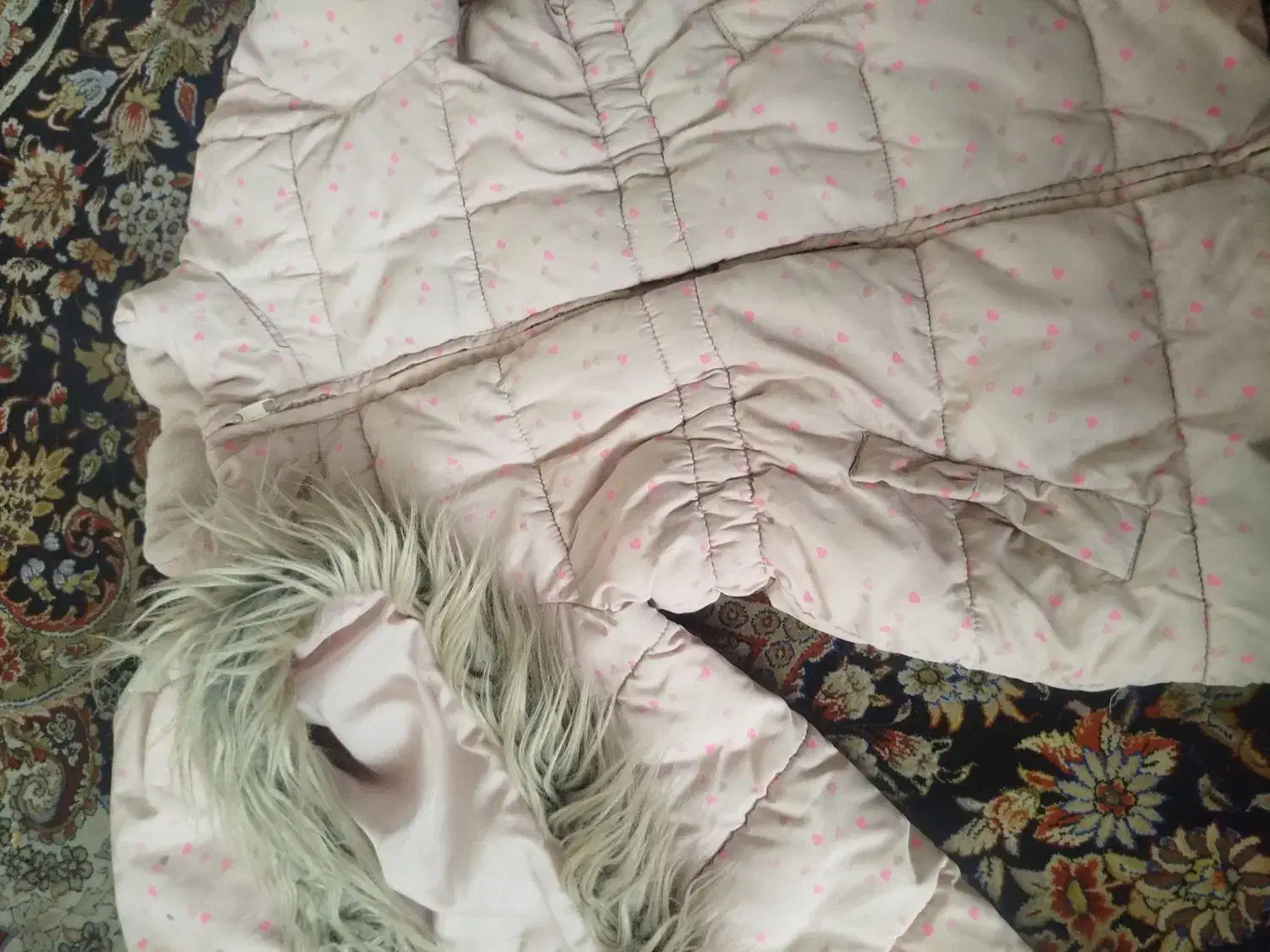 کاپشن کلاه دار|کفش و لباس بچه|هشتگرد, خور|دیوار