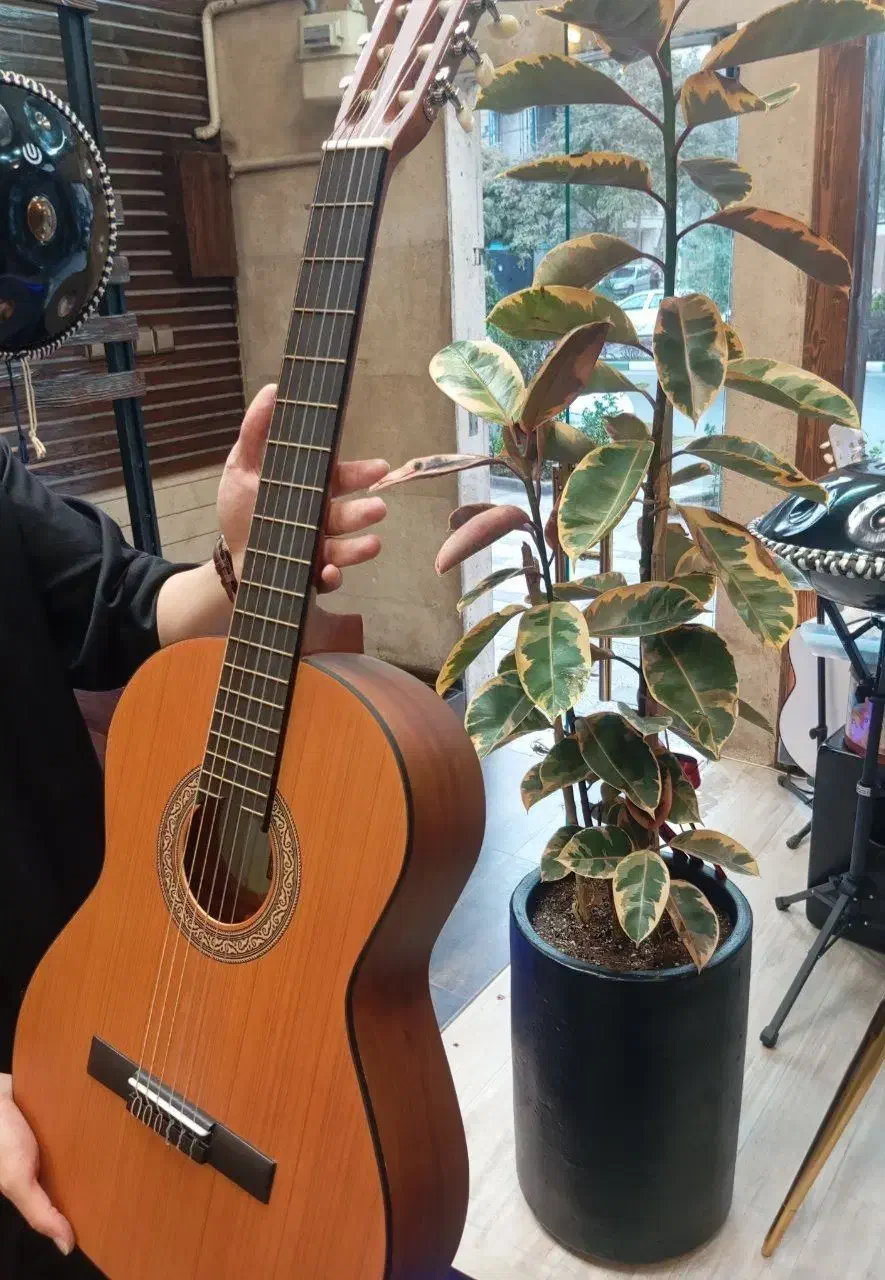 گیتار آکوستیک و کلاسیک یاماها پارسی همه مدل|گیتار، بیس، امپلیفایر|مشهد, آزادشهر|دیوار