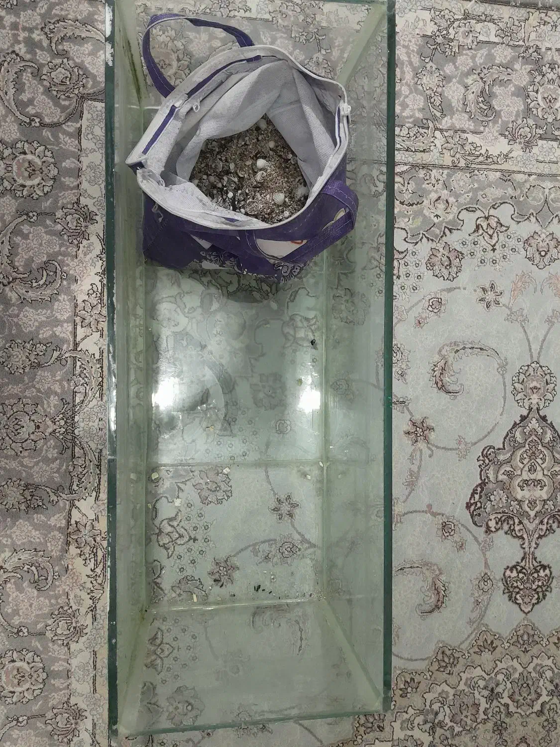 اکواریوم|ماهی|فردیس, فردیس|دیوار