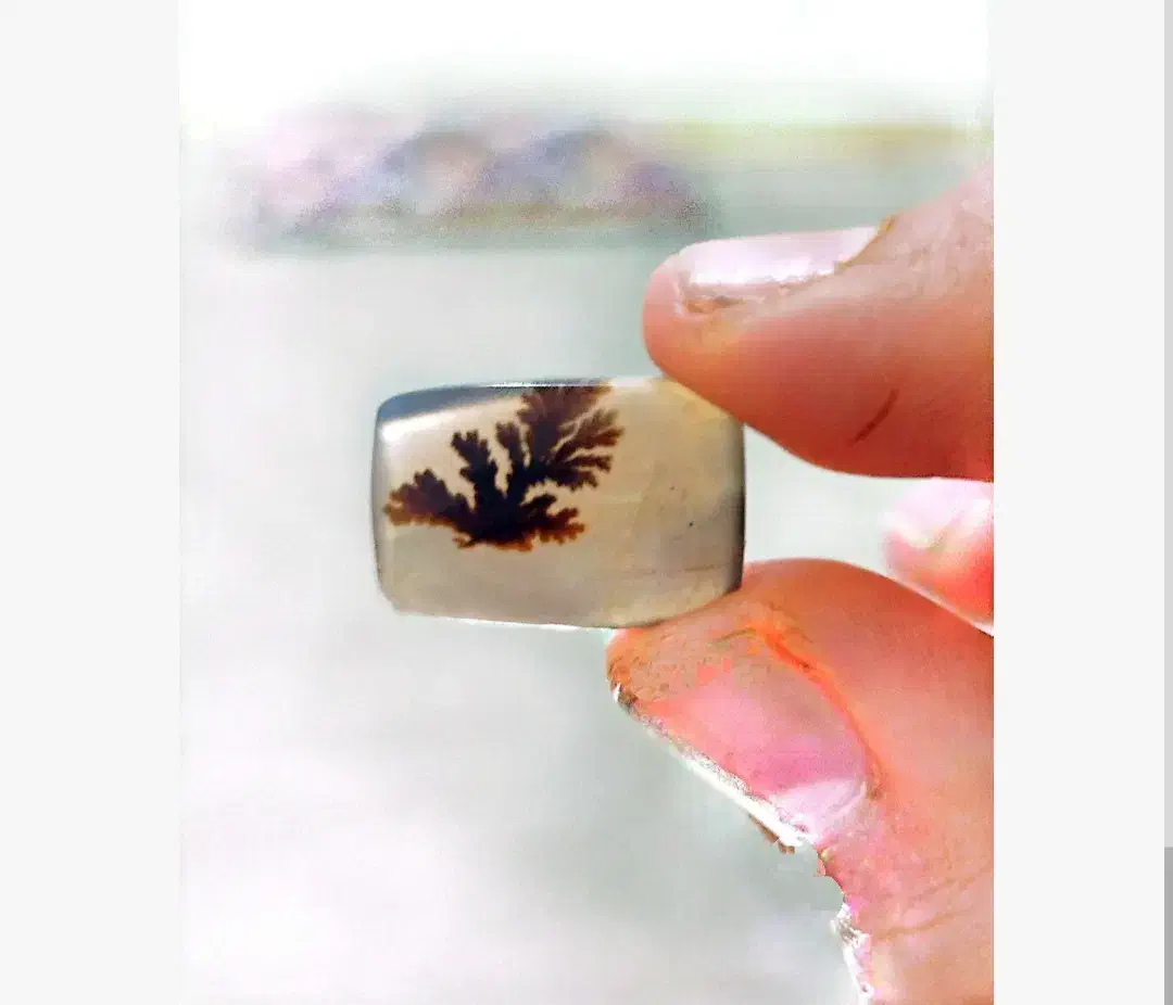 نگین شجر و فیروزه زیبا|جواهرات|پاکدشت, پاکدشت (مامازند)|دیوار