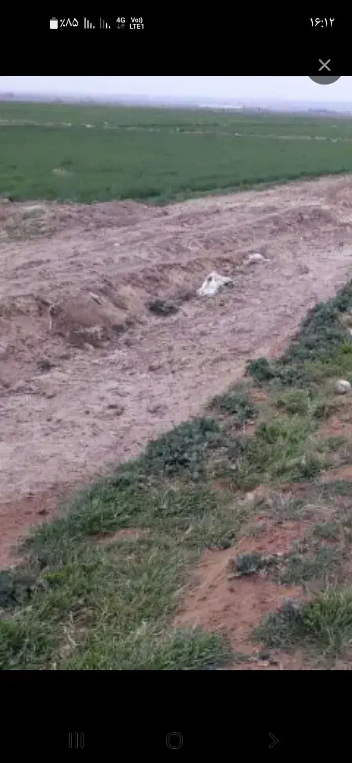 فروش فوری ( زمین کشاورزی)|فروش زمین و ملک کلنگی|دهدشت, |دیوار