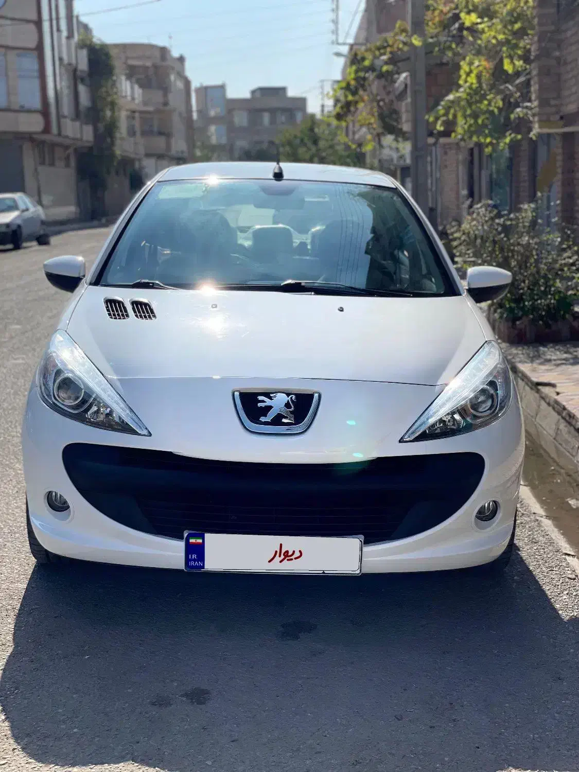 ۲۰۷|خودرو سواری و وانت|پارس‌آباد, |دیوار