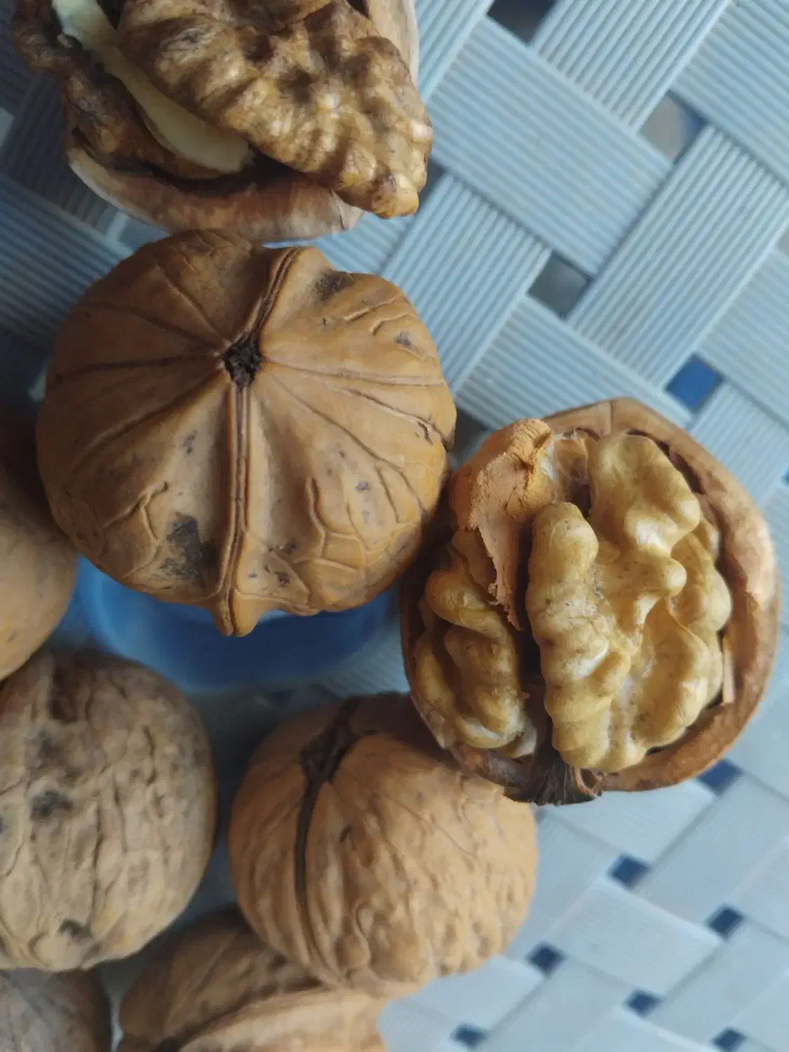 پخش روغن زرد گوسفندی وگاوی وکره دوغی. اسفراین|خوردنی و آشامیدنی|پاکدشت, حصار امیر|دیوار