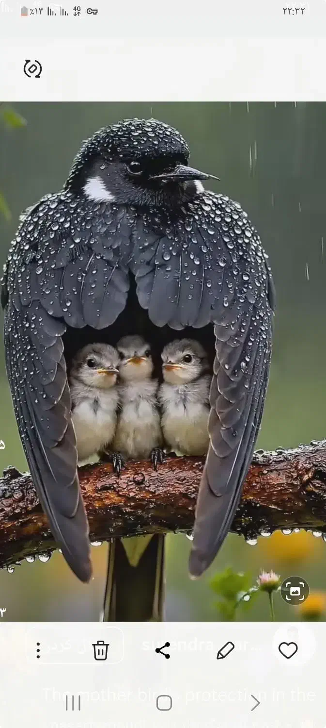 باسلام نیازمند سرویس مدارس راننده خانم|خدمات حمل و نقل|ایذه, |دیوار