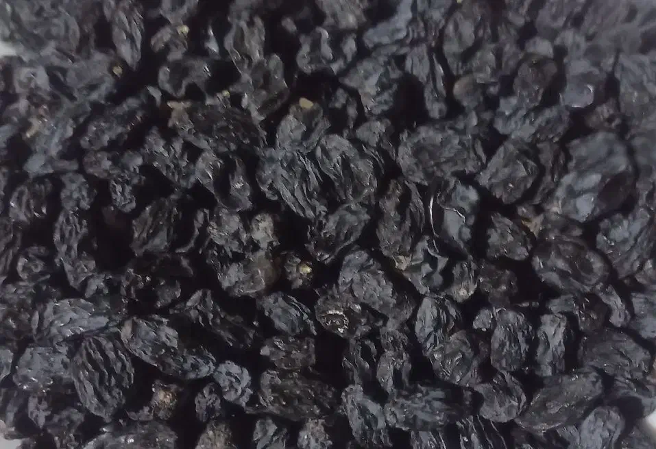 کشمش مویز بدون هسته|خوردنی و آشامیدنی|تاکستان, |دیوار