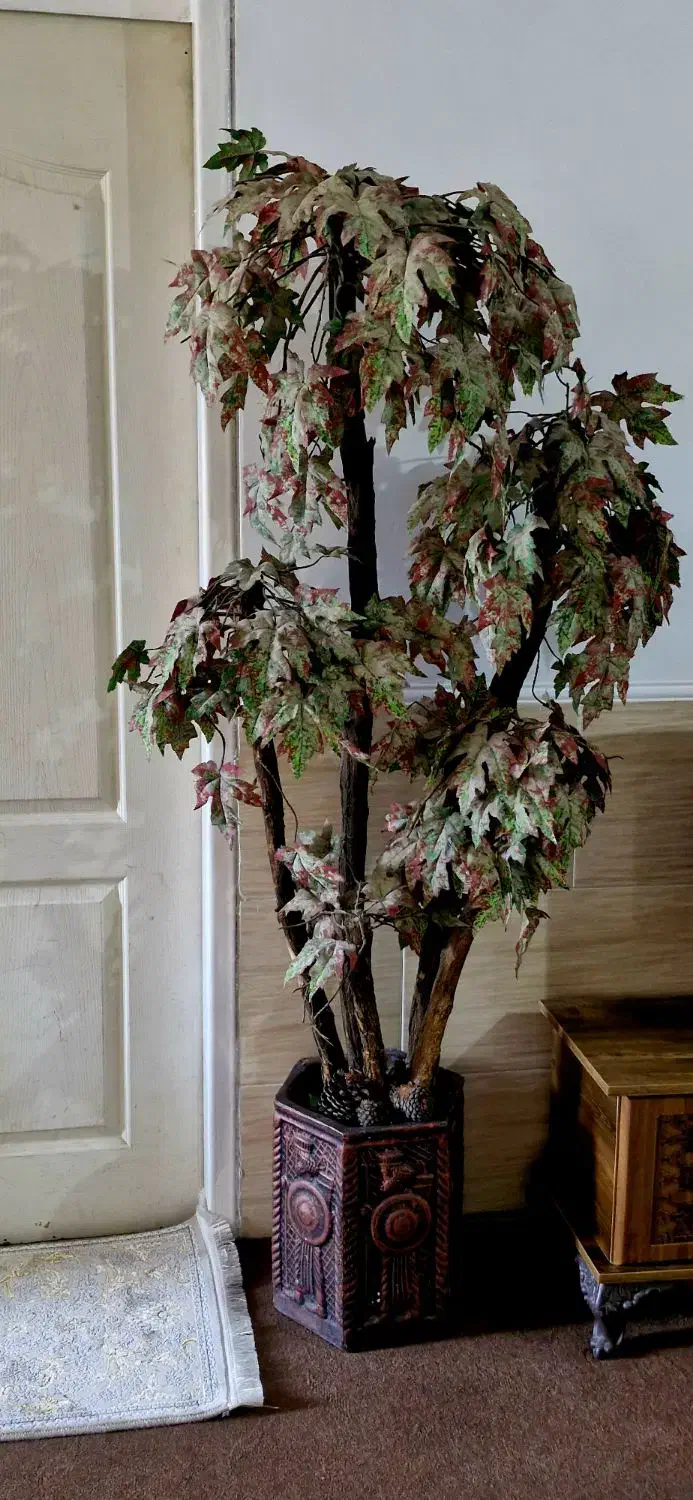 درختچه کاملا سالم با گلدان هر دو با هم ۵۰۰۰۰۰۰|گل مصنوعی|شیراز, دشت چنار|دیوار