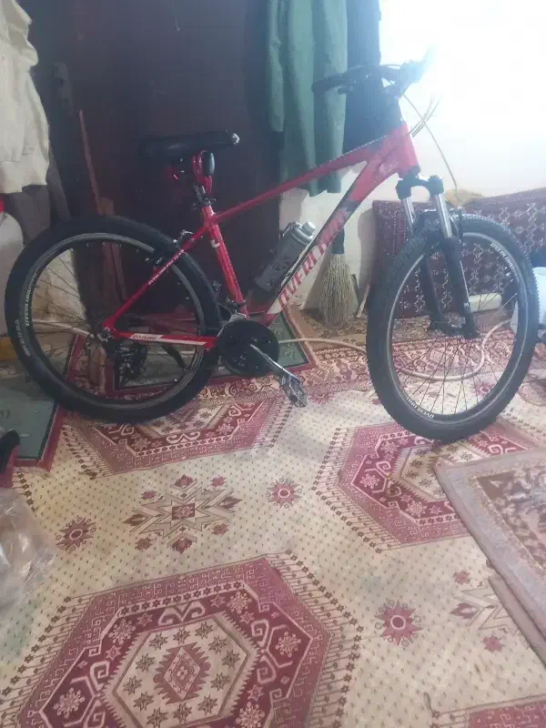 کوشی|موبایل|خلخال, |دیوار