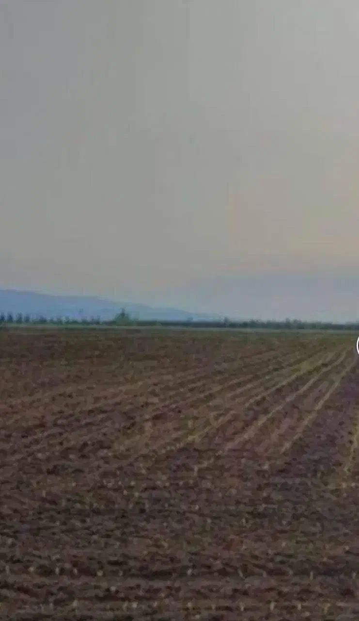 بیست هکتار زمین کشاورزی  پنج میلیارد در فراهان|فروش زمین و ملک کلنگی|فرمهین, |دیوار