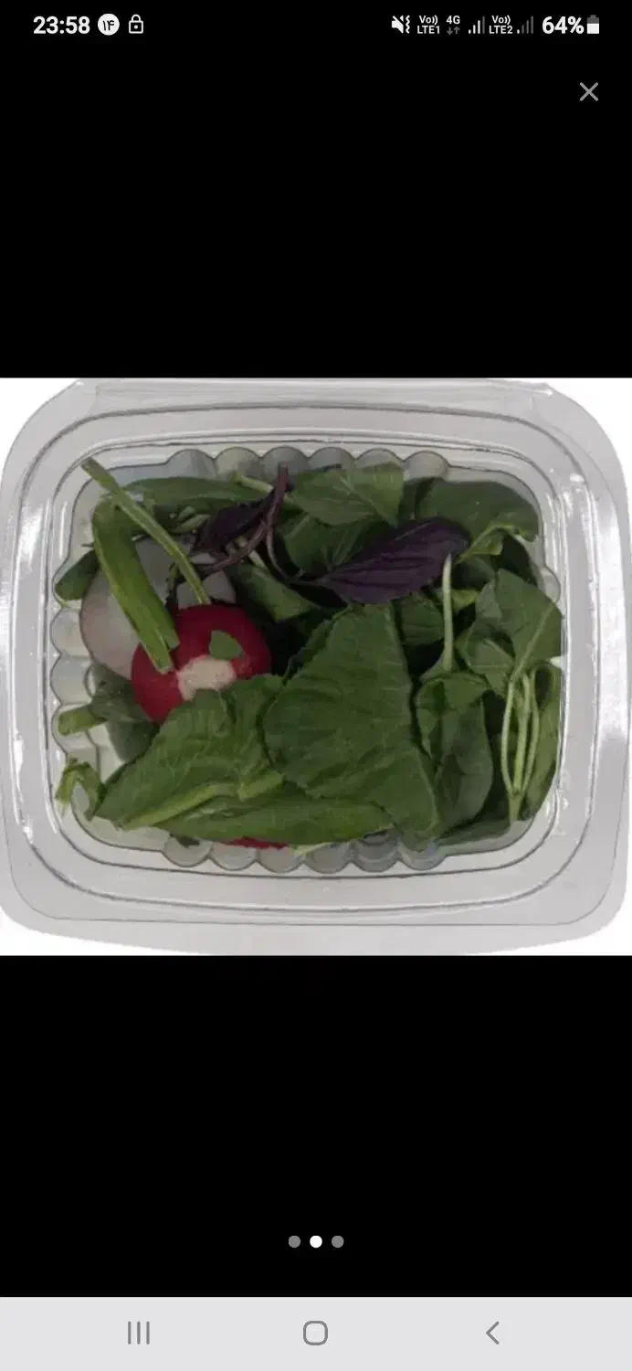 سبزی|خوردنی و آشامیدنی|مشهد, سمزقند|دیوار