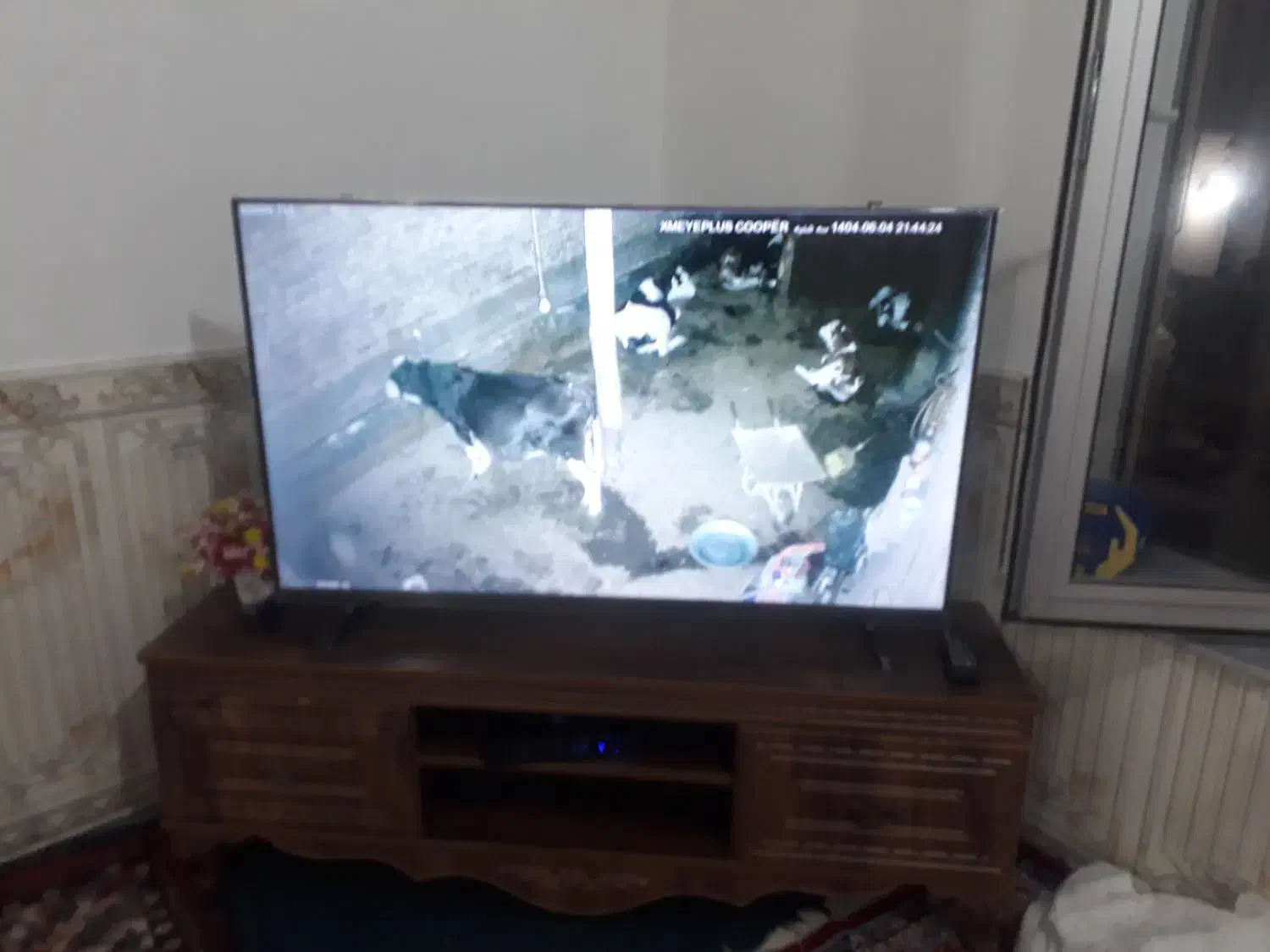 دوربین وارم لایت|دوربین مداربسته|خوی, |دیوار