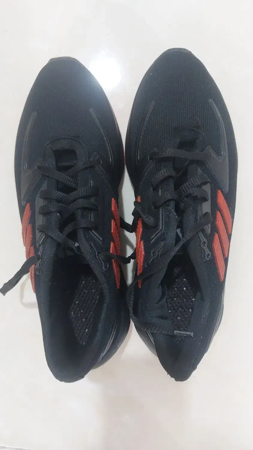 کتونی آدیداس|کیف، کفش، کمربند|قم, انسجام|دیوار