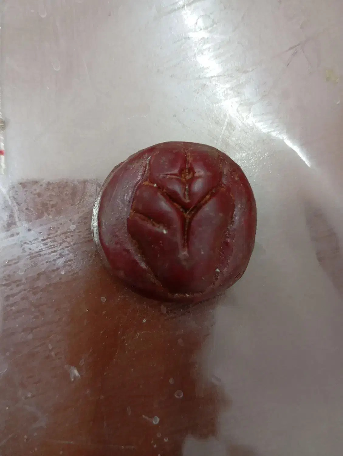 هبهاب مغربی|جواهرات|زاهدان, |دیوار