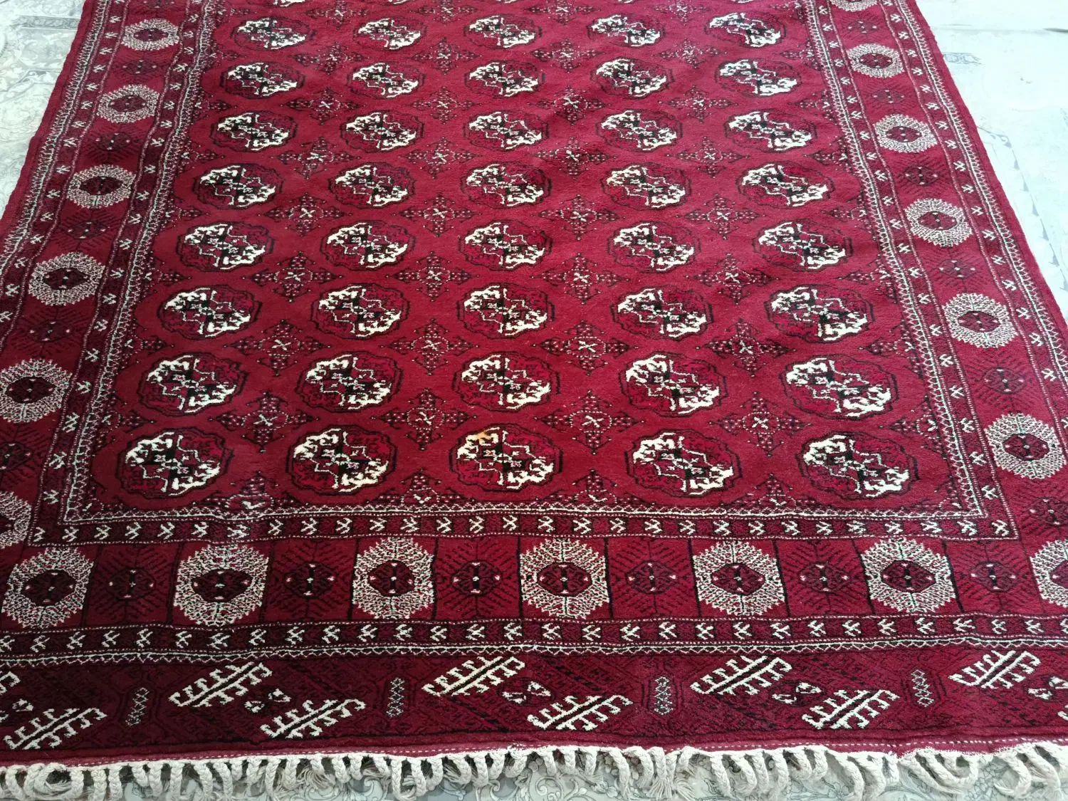 فرش دستبافت 10 متری|فرش|گرگان, |دیوار