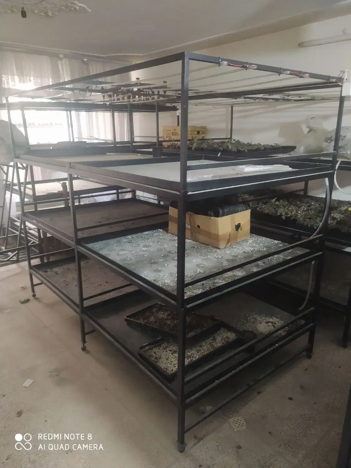 فروش سازه تولید قارچ و گل|مصالح و تجهیزات ساختمان|برخوار, |دیوار