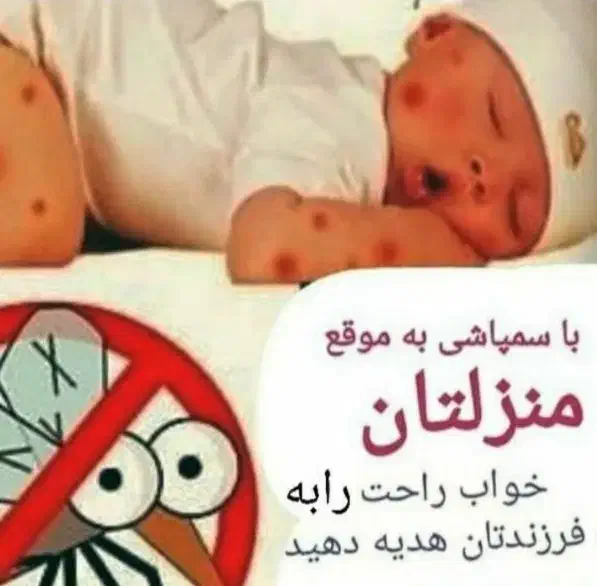 ضدعفونی|خدمات نظافت|کیش, |دیوار