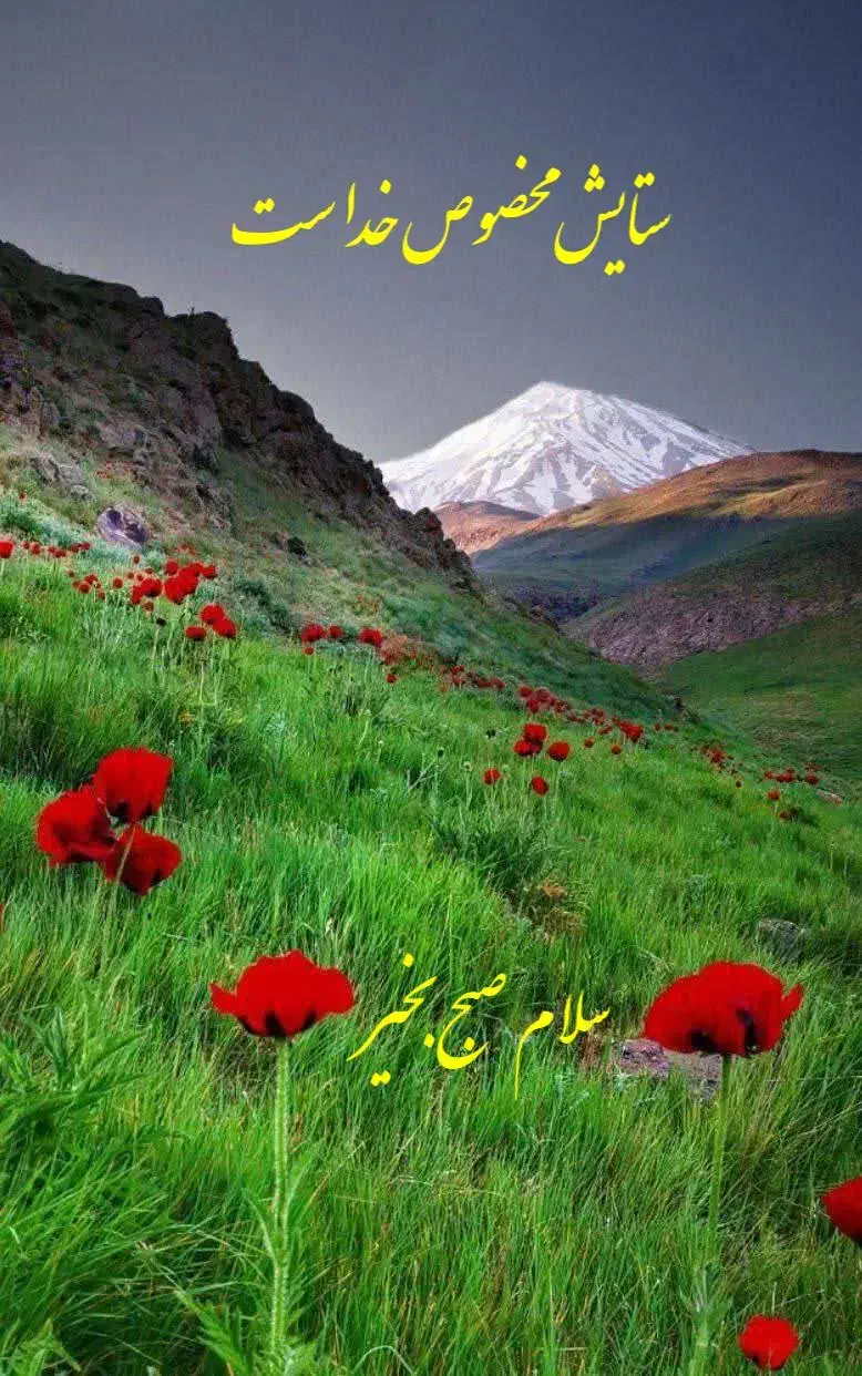 نیازمند فروشنده|استخدام خدمات فروشگاه و رستوران|لالجین, |دیوار