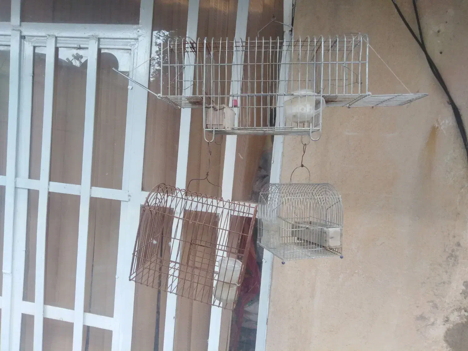تعدادی قفس سهره|لوازم جانبی حیوانات|شیراز, شهرک مفتح|دیوار