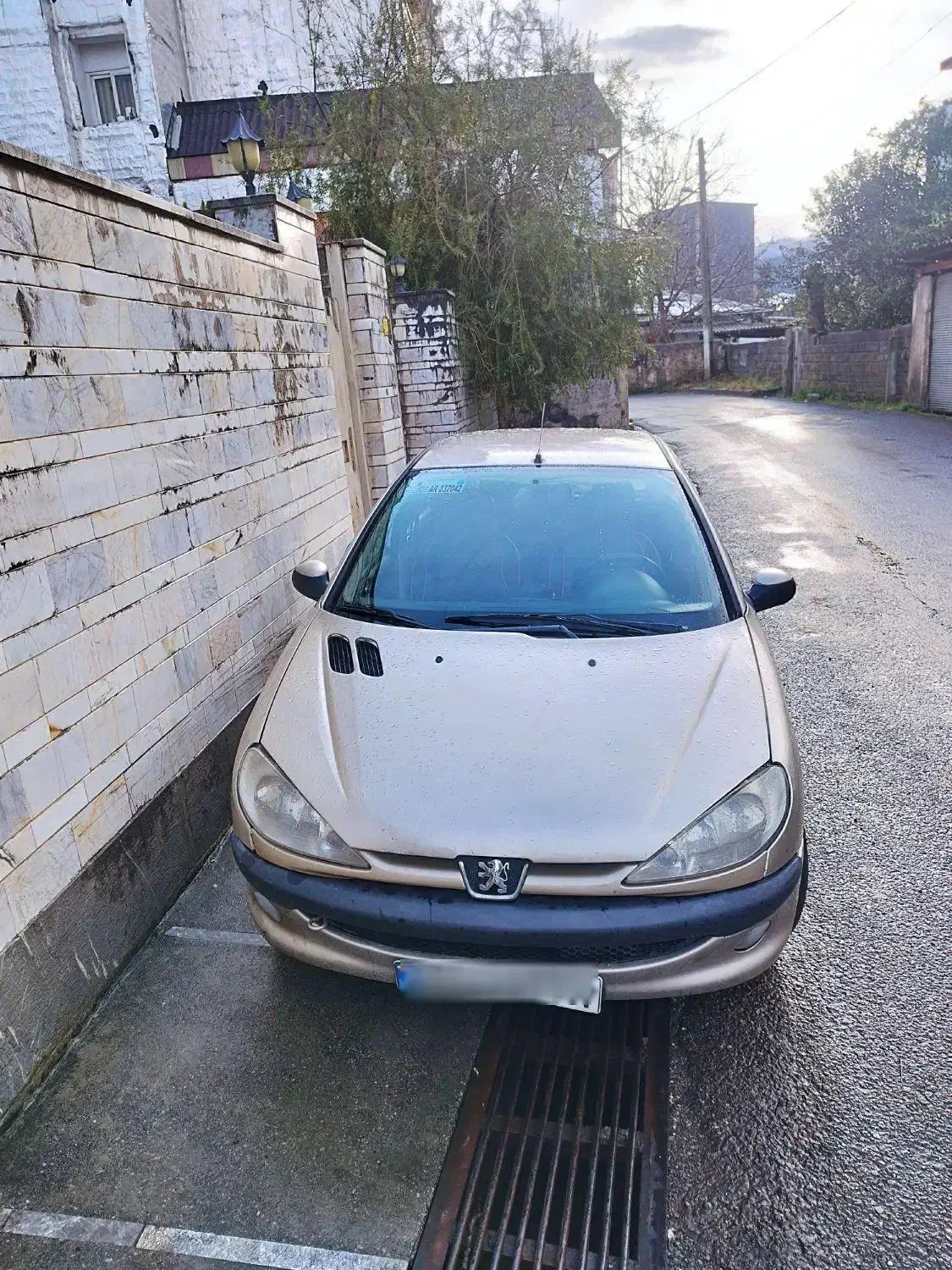 پژو 206 رنگ بژ،مدل 83|خودرو سواری و وانت|چالوس, |دیوار