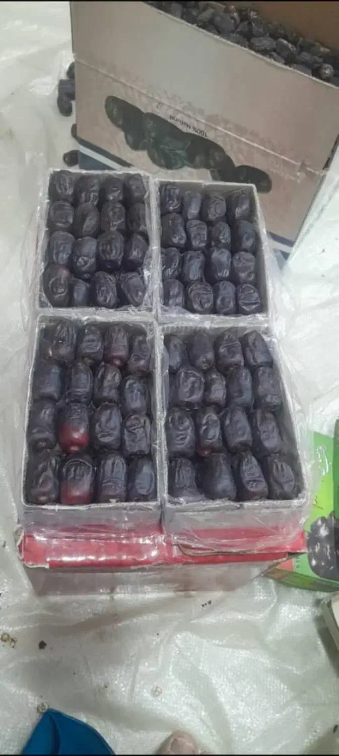 خرما مضافتی بم|خوردنی و آشامیدنی|نگین کویر, |دیوار