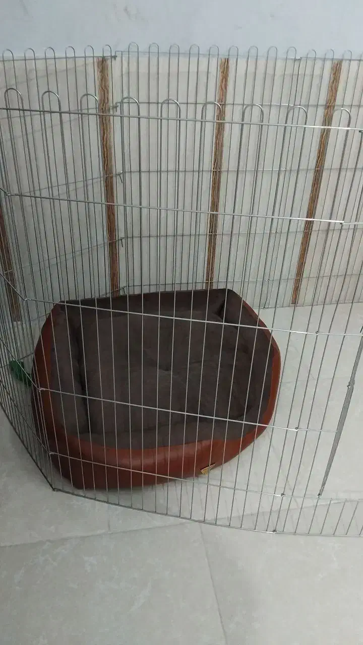 فروش پارک بازی (قفس سگ)و جای خواب سگ|لوازم جانبی حیوانات|گرگان, |دیوار