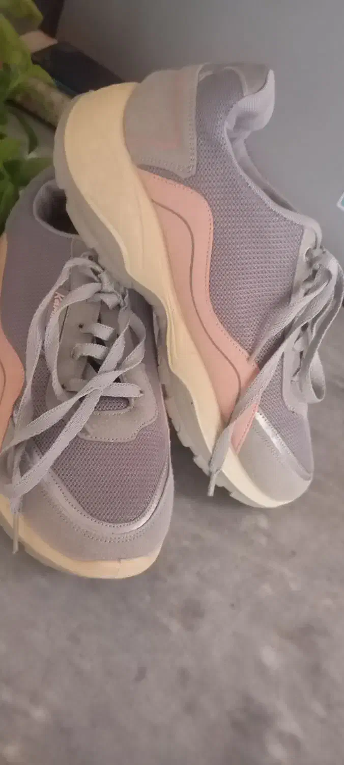 کفش در حد نو|کیف، کفش، کمربند|ارومیه, |دیوار