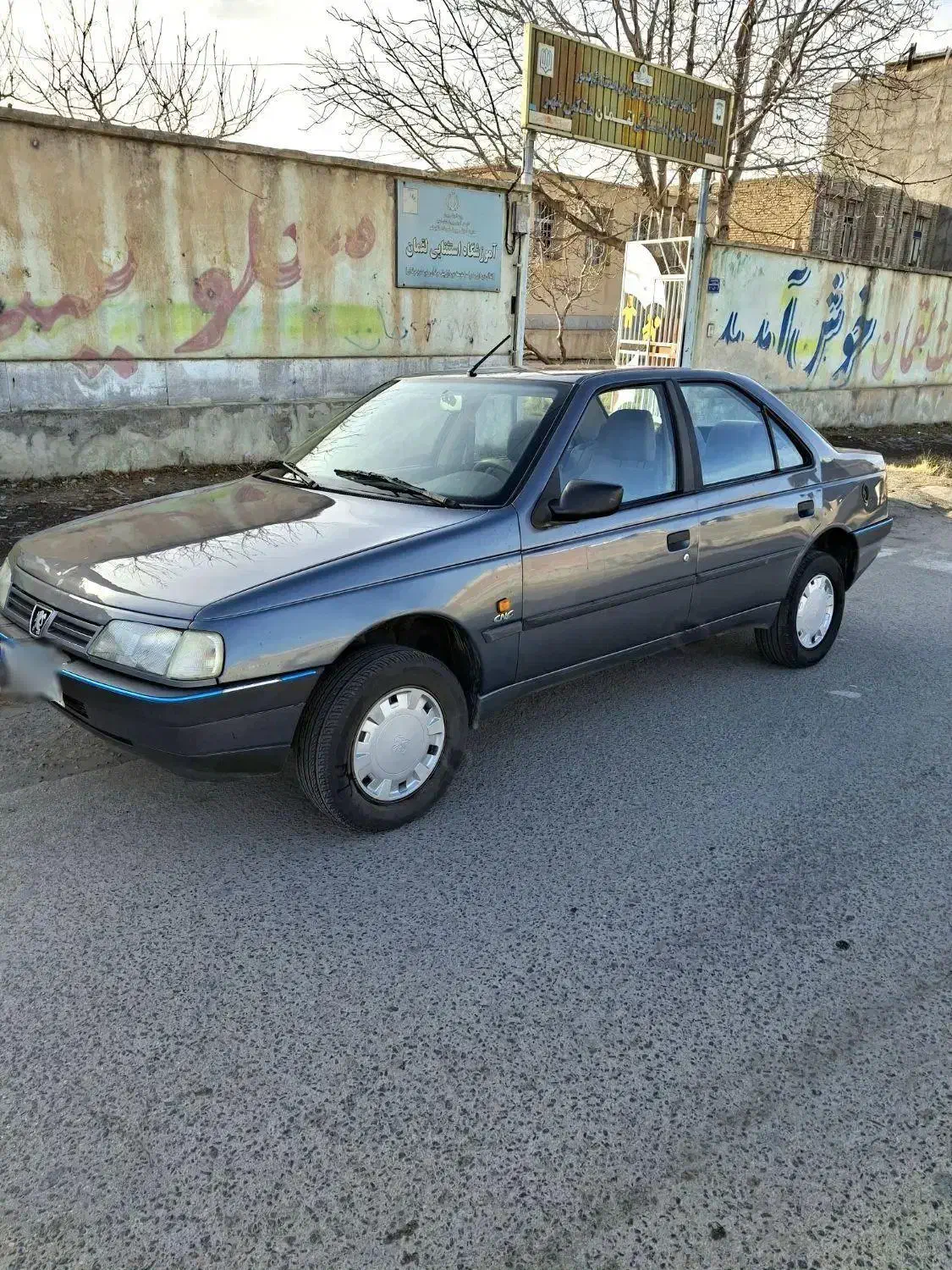 ۴۰۵ مدل ۹۶ دوگانه کارخانه|خودرو سواری و وانت|مشگین شهر, |دیوار