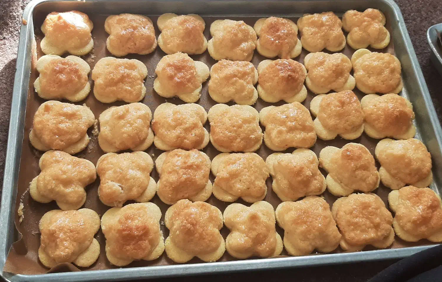 شیرینی خشک|خوردنی و آشامیدنی|رشت, پاره بیجار|دیوار