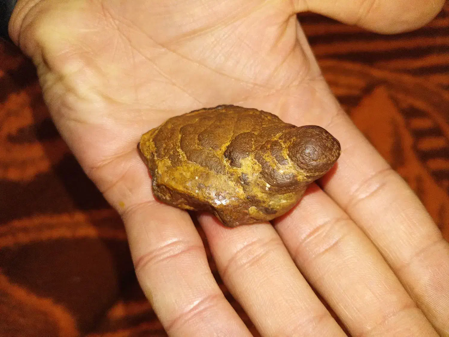 مجسمه قدیمی|جواهرات|شهر ری, صالح آباد جنوبی (باغ رضوان)|دیوار