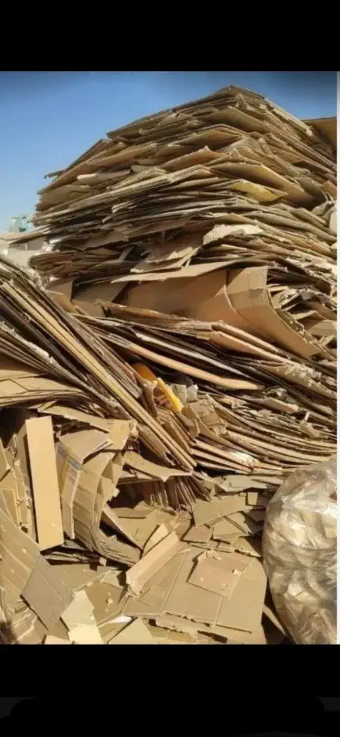 خرید فروش کارتون دفتر کتاب تسویه درب منزل|عمده‌فروشی|تهران, ونک|دیوار