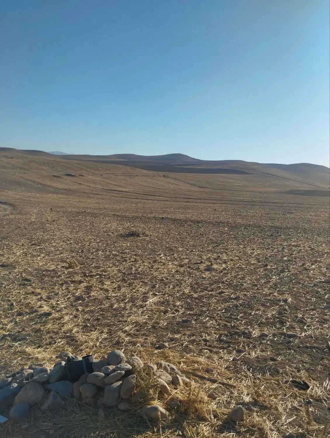 فروش2هکتار زمین کشاورزی بارانی|فروش دفتر صنعتی، کشاورزی، تجاری|محمدبار, |دیوار