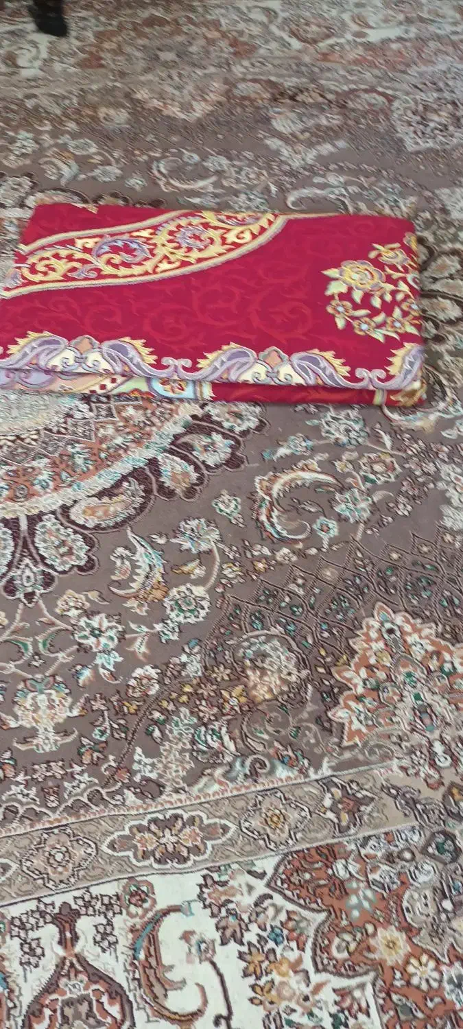 یک دونه روفرشیا۱۲ متری نو اک وتمیز عالی|روفرشی|فلاورجان, |دیوار