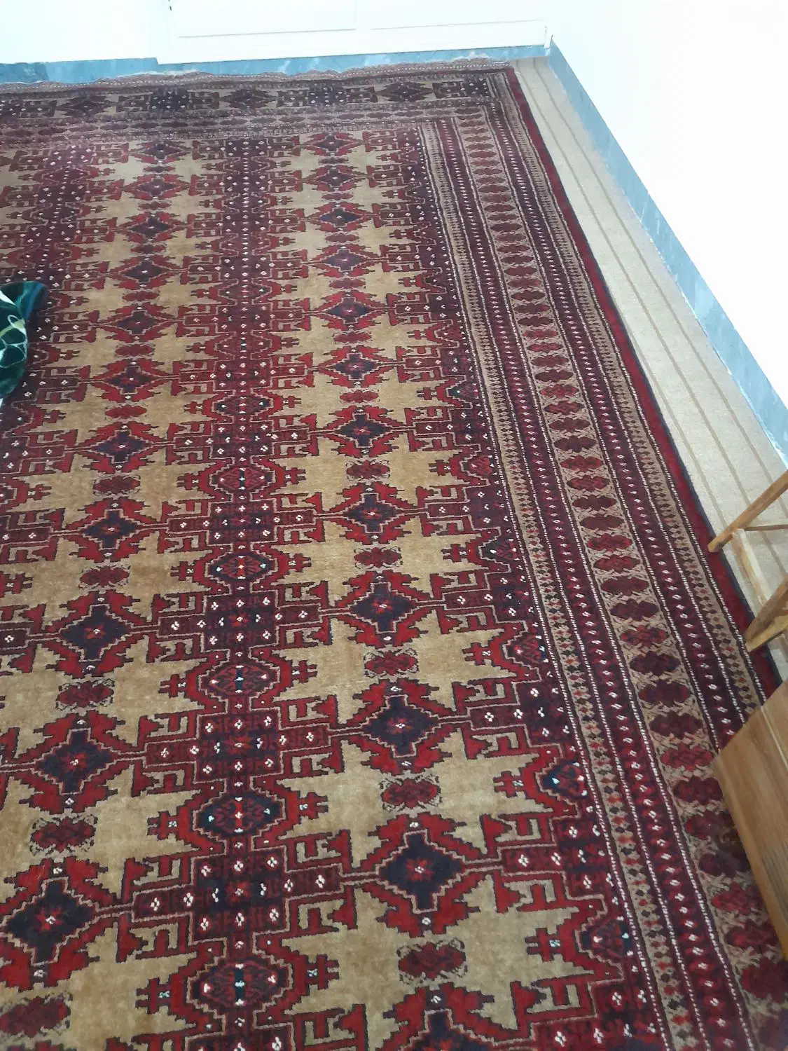 ترکمن فرش ۲ عدد|فرش|بندر ترکمن, |دیوار