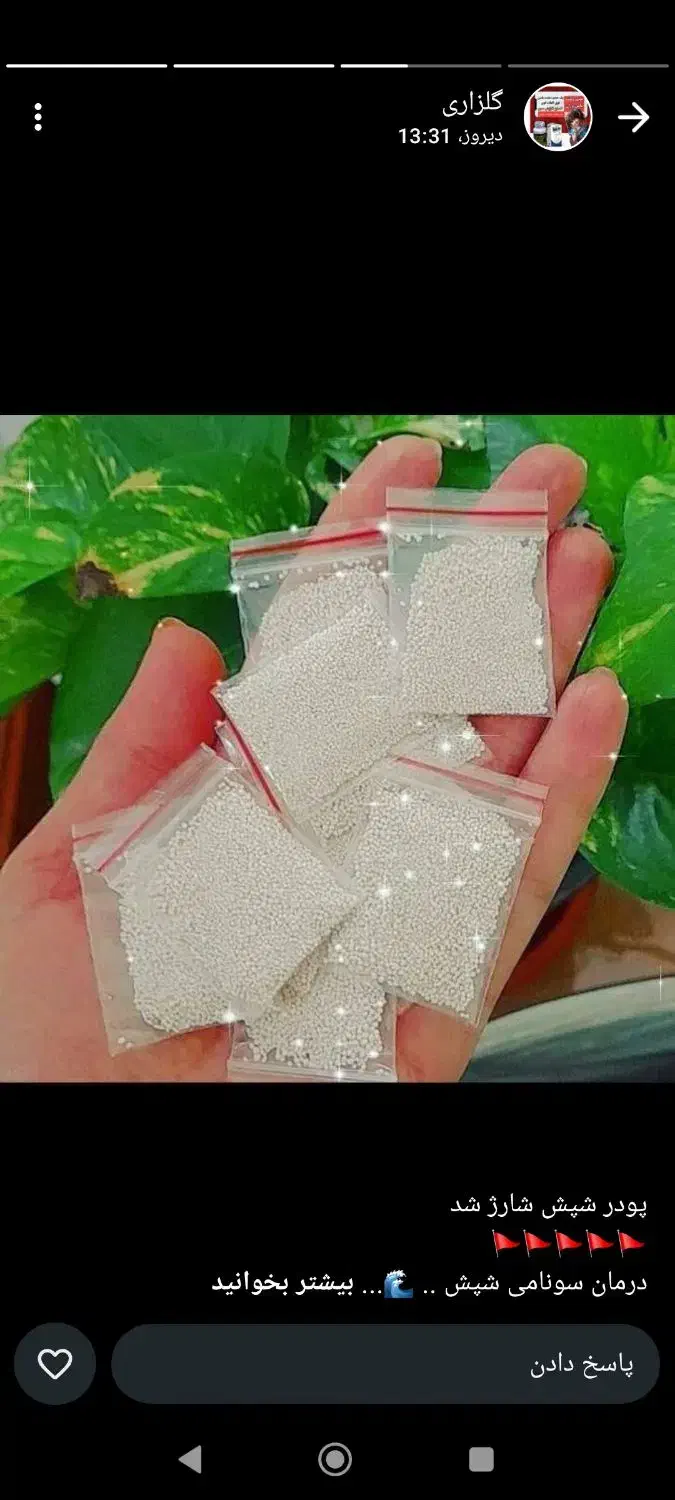 پودر شپش|آرایشی، بهداشتی، درمانی|چناران, |دیوار