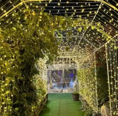 ریسه صد متری|ریسه و چراغ تزئینی|نیشابور, مدرس|دیوار