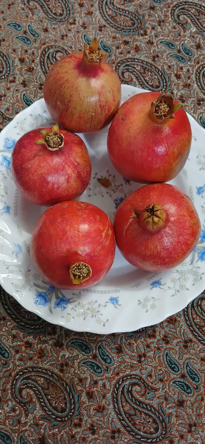 انار آبدار میخوش|خوردنی و آشامیدنی|یزد, |دیوار