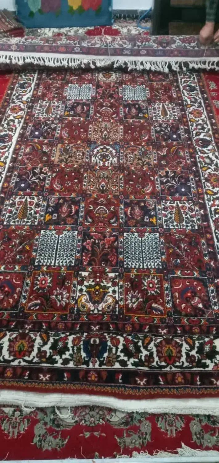 قالی دستبافت جهادی چالشتری|فرش|شهرکرد, |دیوار