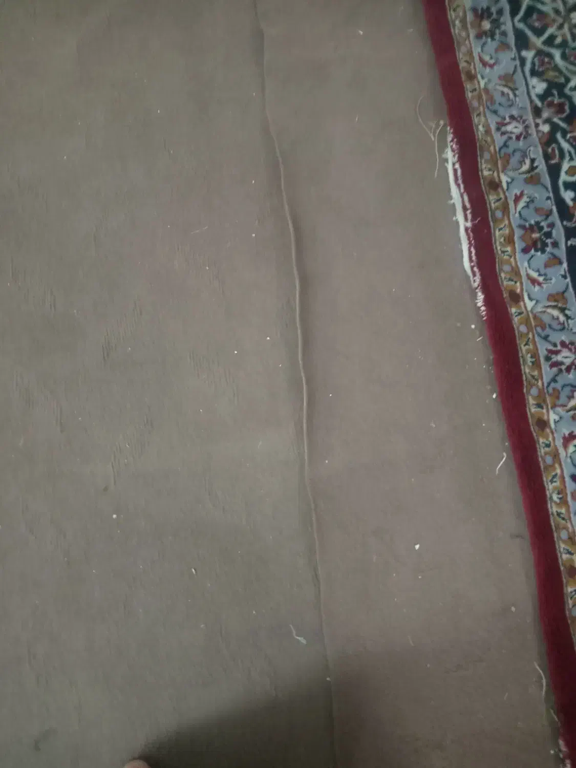 موکت|موکت|مشهد, شهید معقول|دیوار