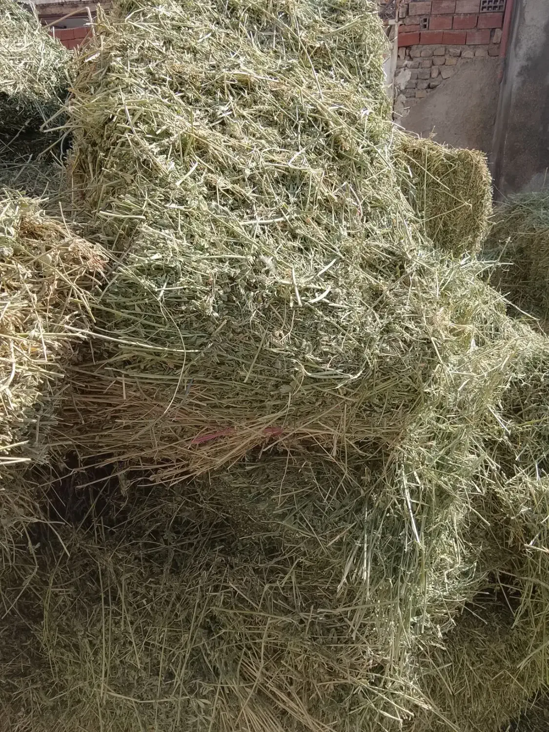 یونجه|عمده‌فروشی|بجنورد, |دیوار