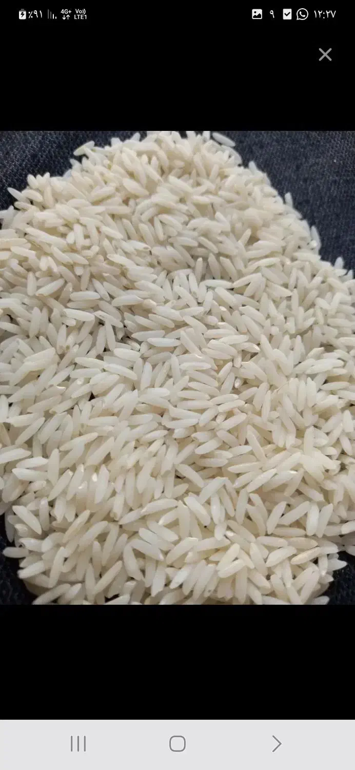 برنج علاهاشمی|خوردنی و آشامیدنی|پره‌سر, |دیوار