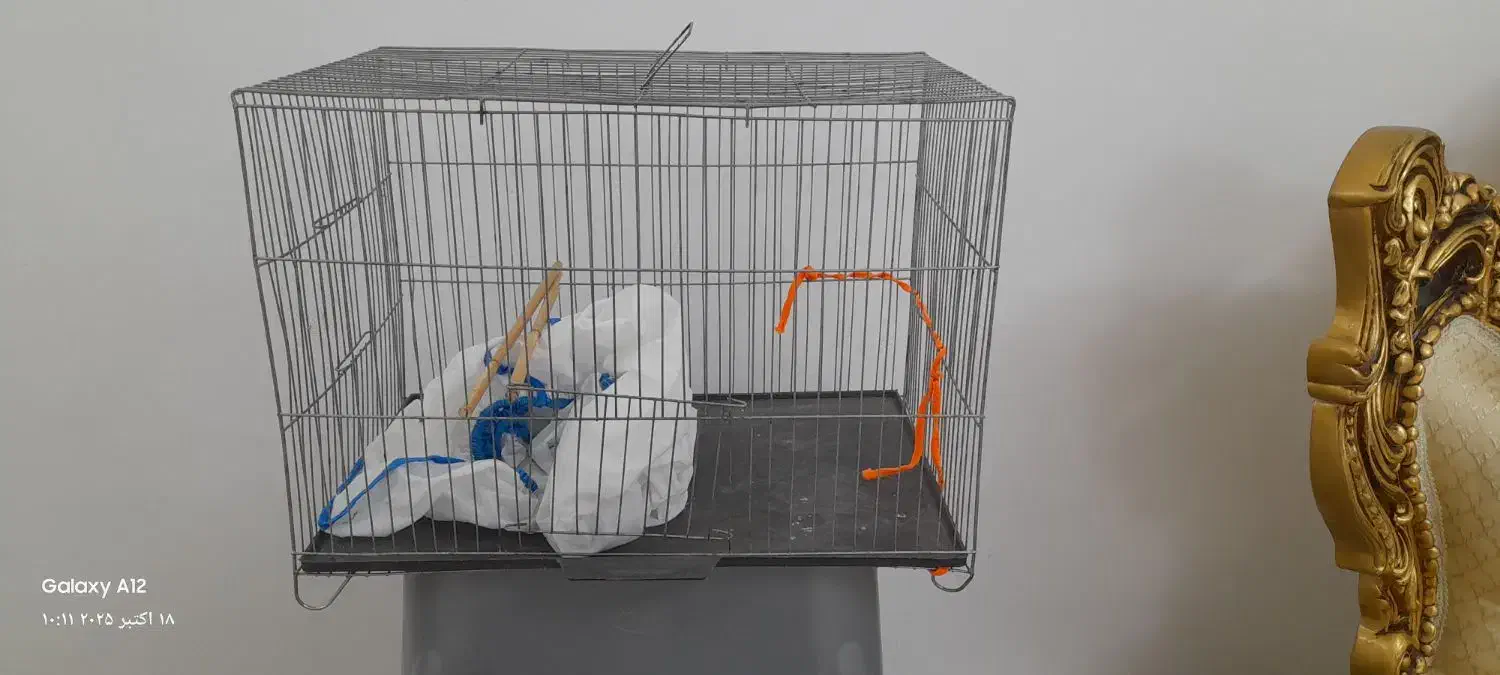 قفس سالم|لوازم جانبی حیوانات|بندر انزلی, آذربایجان|دیوار