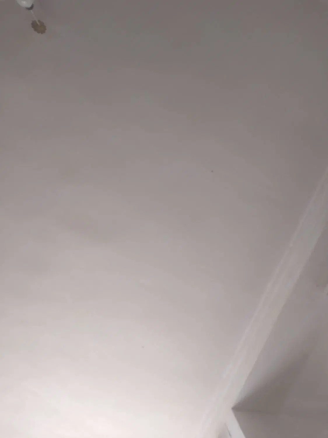 بنایی دیوار چنی وسیمان کاری|خدمات پیشه و مهارت|مهران (ایلام), |دیوار