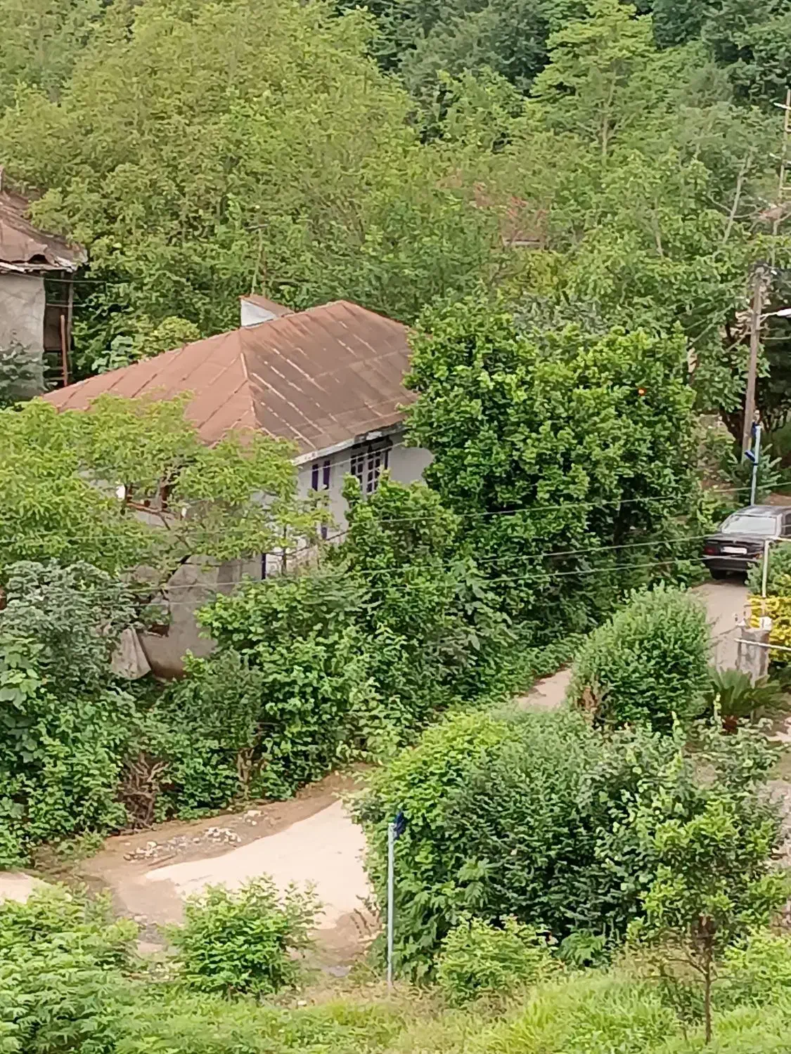 فروش زمین ویلایی ۲۵۰ متری در رامسر|فروش زمین و ملک کلنگی|تهران, اکباتان|دیوار