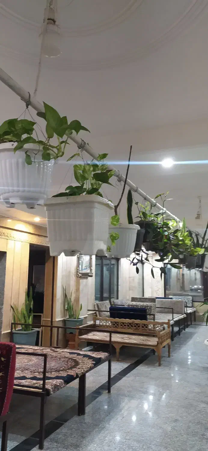 گل گیاه تزیینی.|گل و گیاه طبیعی|کهک, |دیوار