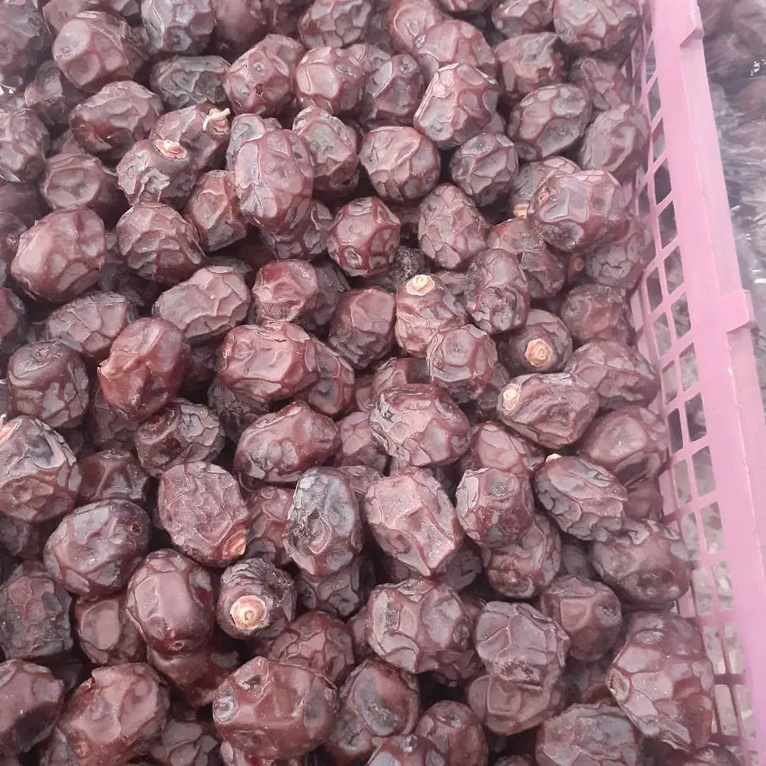 خرما گنتال یا آلویی|خوردنی و آشامیدنی|چمستان, |دیوار