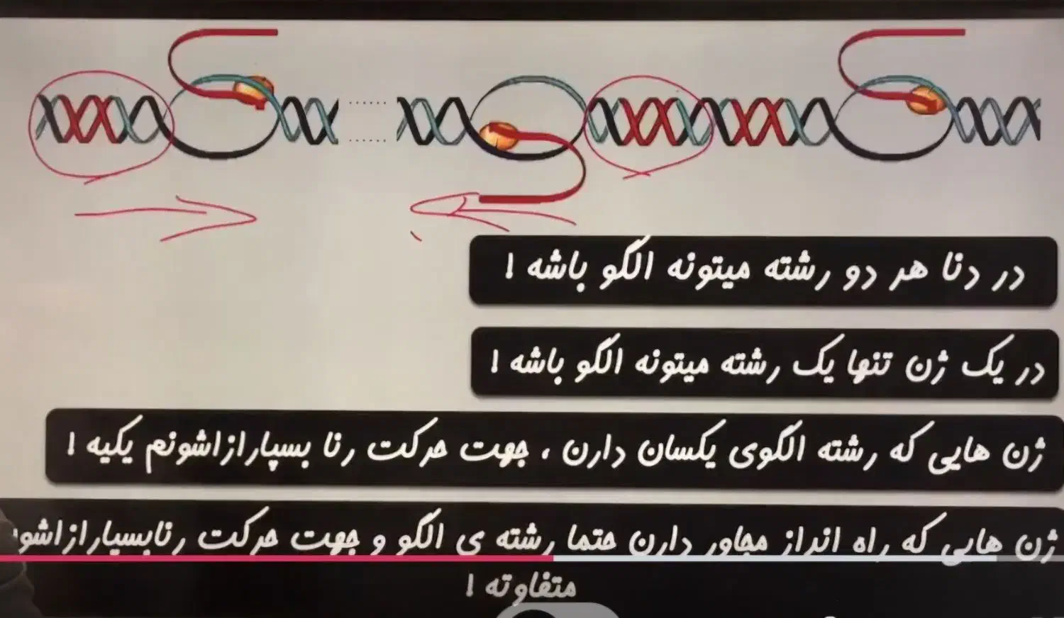تدریس آنلاین زیست دوازدهم تجربی با50 درصد تخفیف|خدمات آموزشی|ایلام, |دیوار