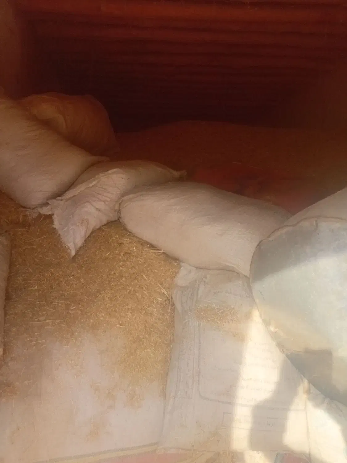 فروش ۴تن کاه سفید|عمده‌فروشی|جره و بالاده, |دیوار