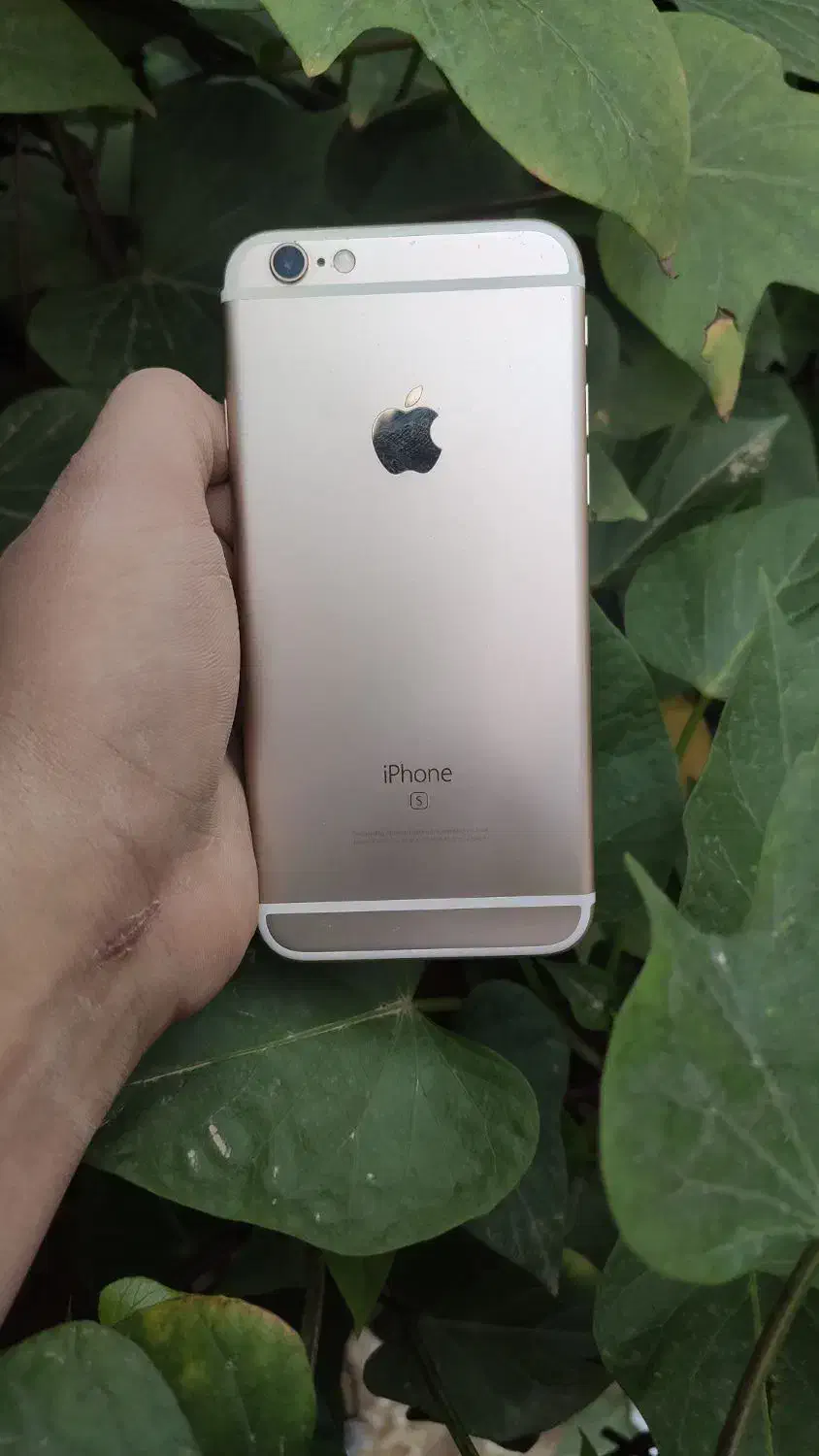 ایفون 6s 64|موبایل|اهواز, شهرک پیام|دیوار