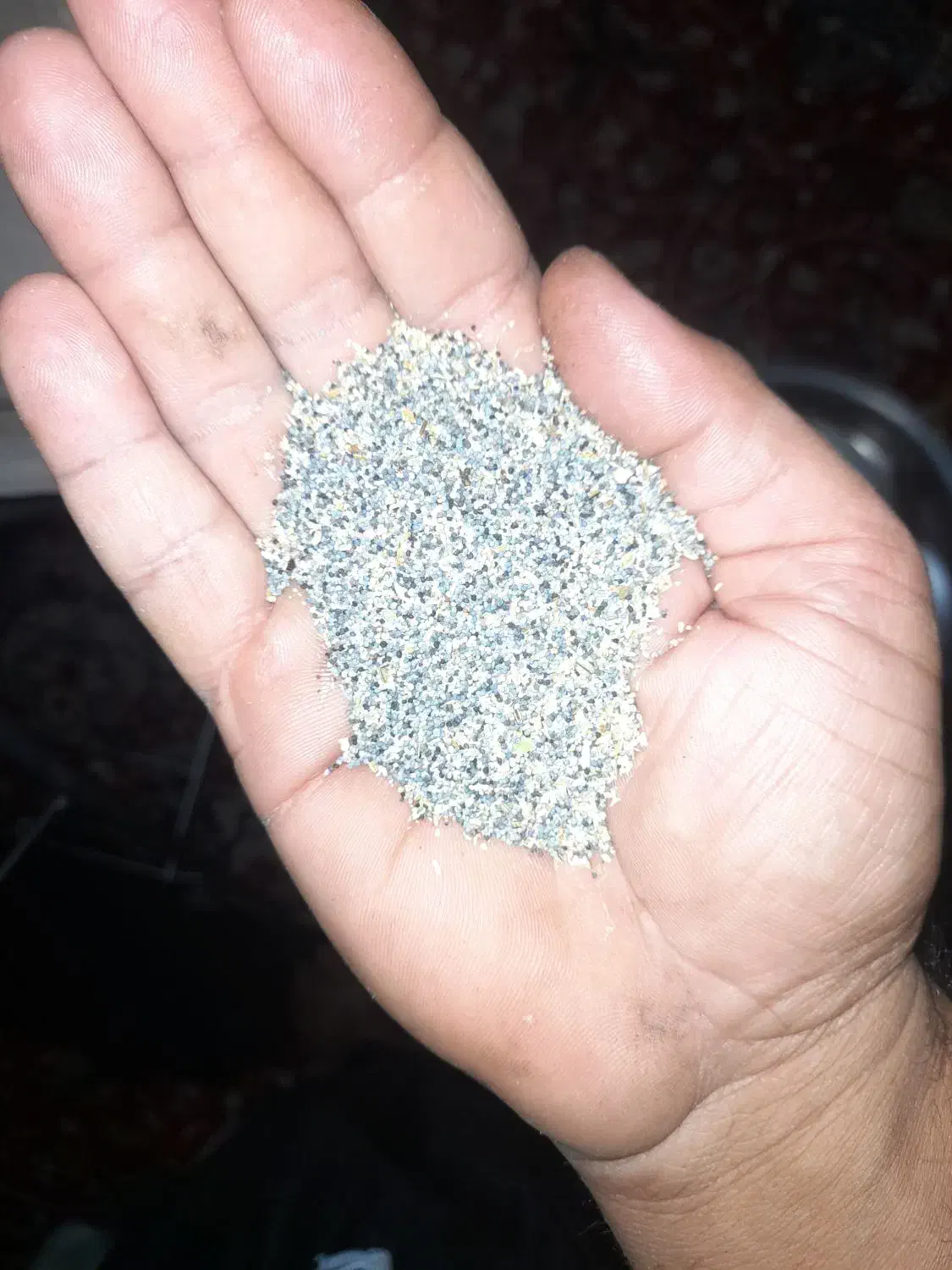 بذر درجه یک|گل و گیاه طبیعی|کوهدشت, |دیوار