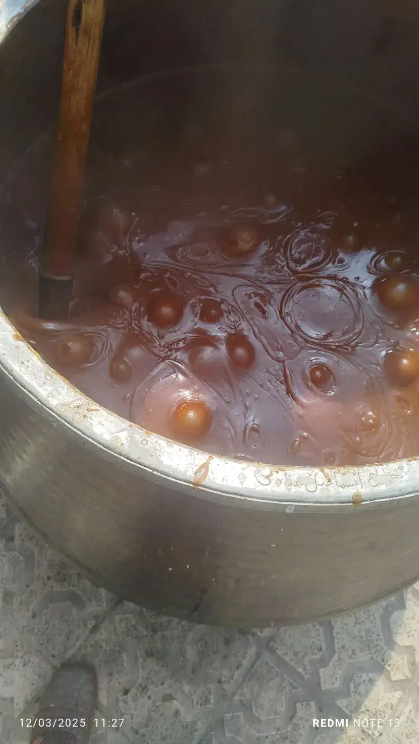 سمنواعلاخانگی مصباح|خوردنی و آشامیدنی|کرج, ساسانی (قلمستان)|دیوار